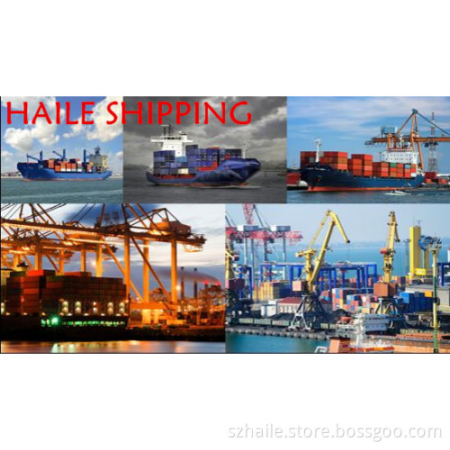 Sea Shipping (bulk cargo) From China to Roma, Italy